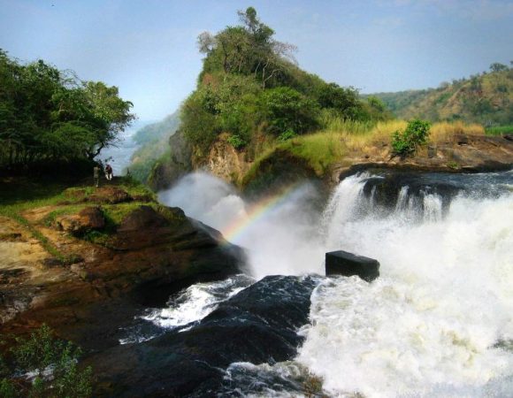 2 Days Murchison Falls Safari – Uganda Wildlife