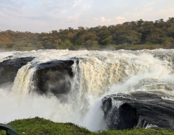 Waterfalls with vegetation on the banks