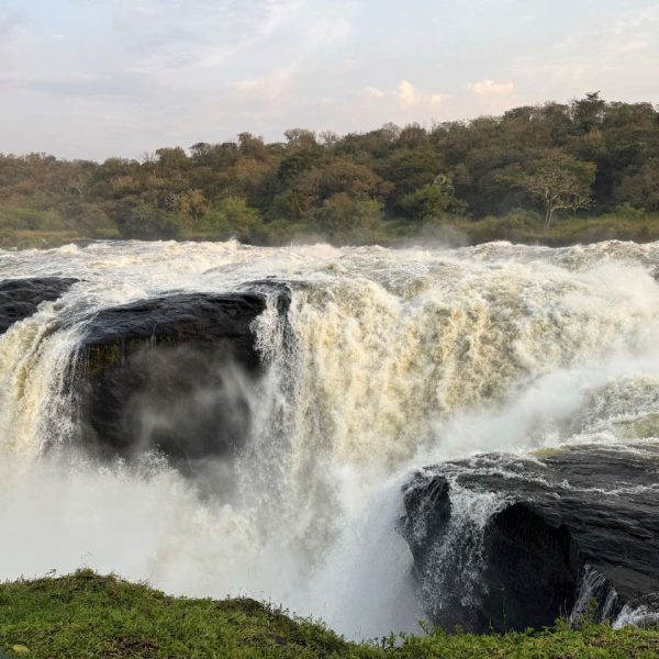 Waterfalls with vegetation on the banks