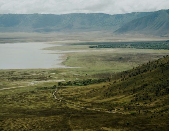 Large crater surrounded by lush vegetation