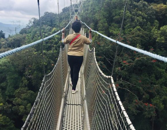 Nyungwe Forest National Park becomes a UNESCO World Heritage Site