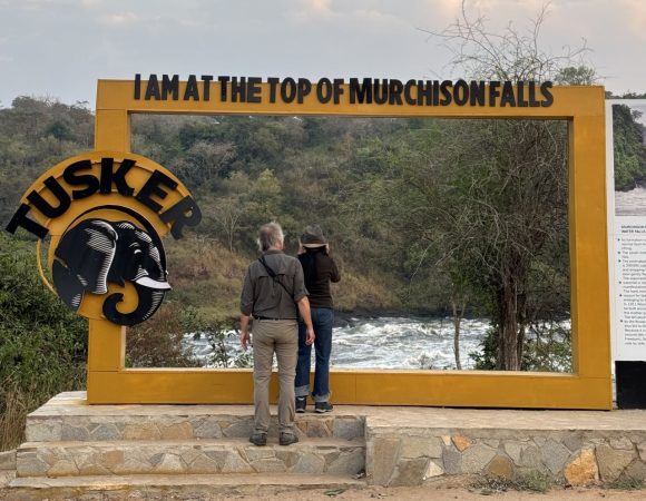 Two adults staring at a waterfall