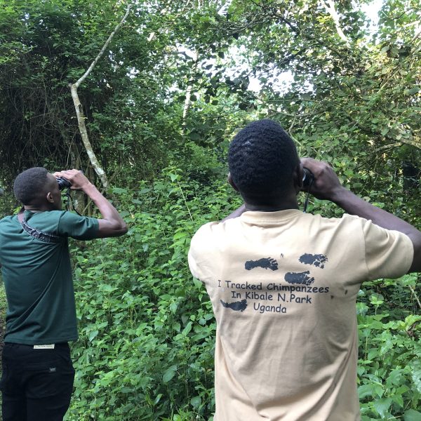 People bird watching and looking out for bird with binoculars