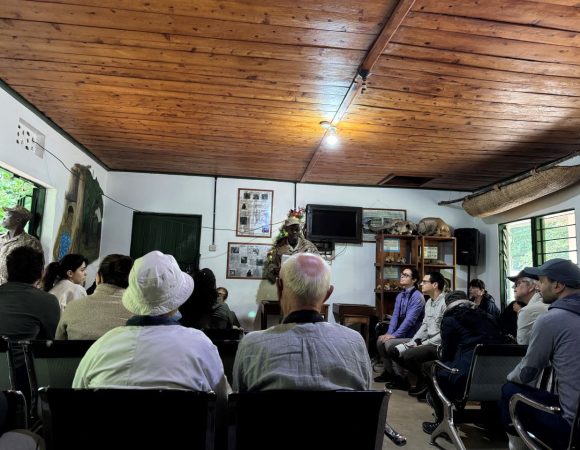 People seated on chairs in a room