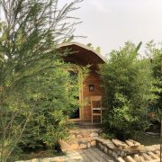 Eco Pod at a bed & breakfast in Fort Portal called Mandari Eco pods, the Eco pod is surrounded by green plants.