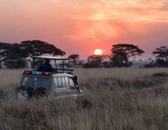 Sunrise in a savanna park with a safari car