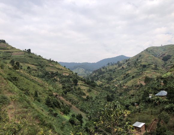Uganda Wildlife Authority Suspends Hiking to Rwenzori Highest Peak