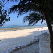 Diani Beach, Kenya : Things to do in Diani, diani beach hotels, diani beach Kenya location