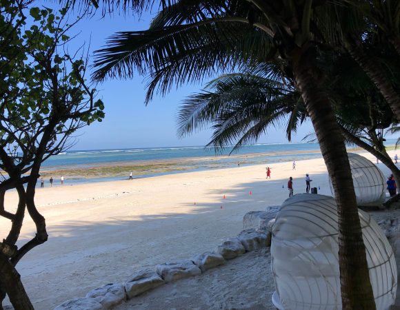 Diani Beach, Kenya : Things to do in Diani, diani beach hotels, diani beach Kenya location