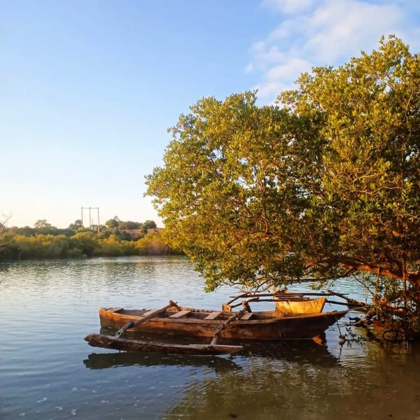 A traditional wooden canoe on a river 