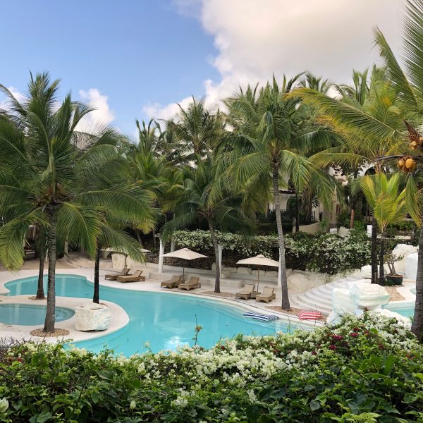 A swimming pool surrounded by palm trees 