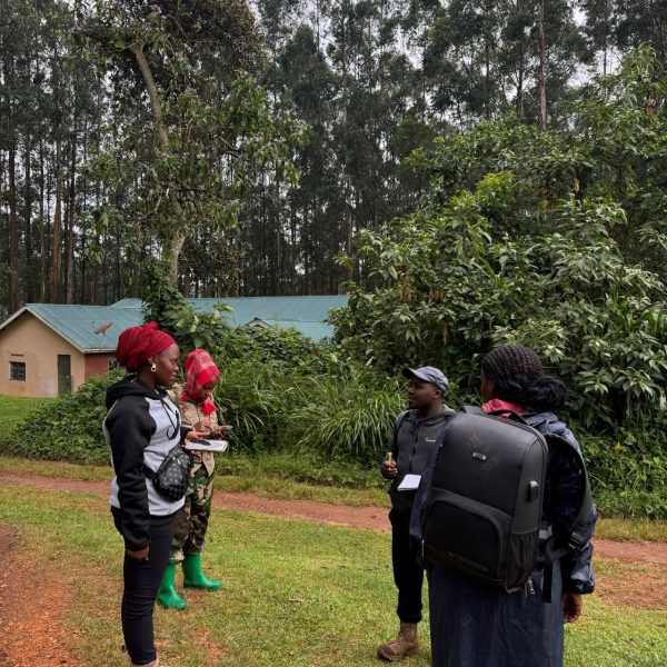 Four people standing in a compound 
