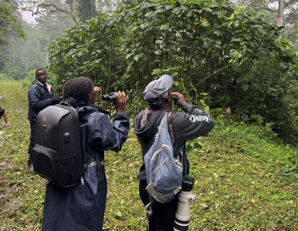 Bird Population Monitoring at Makerere University Biological Field Station