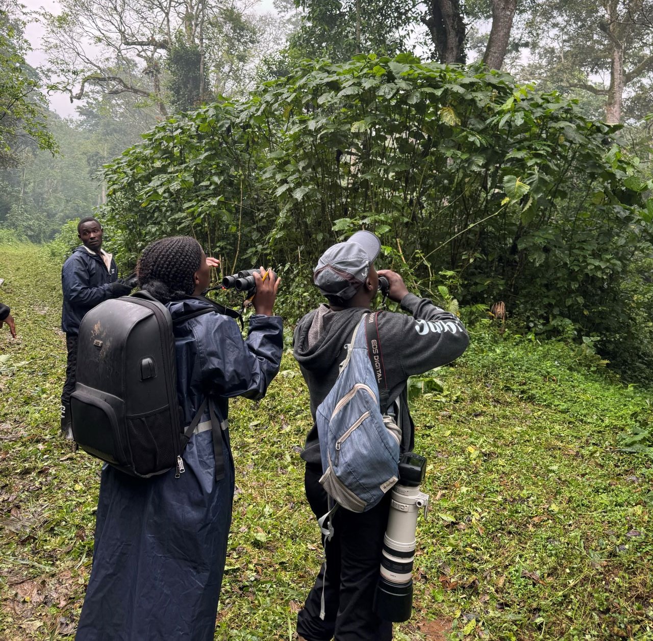 Bird watchers looking out for a bird along a forest trail