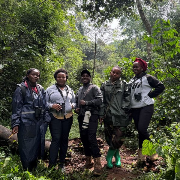 Five tour guides standing in a forest trail 