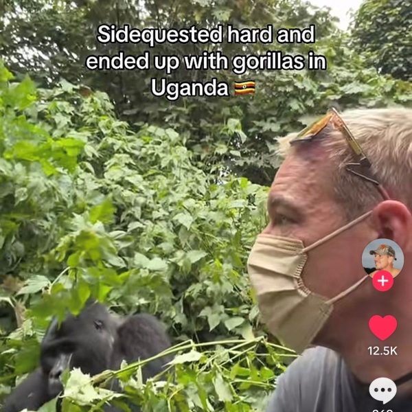 A man wearing a mask and a mountain gorilla