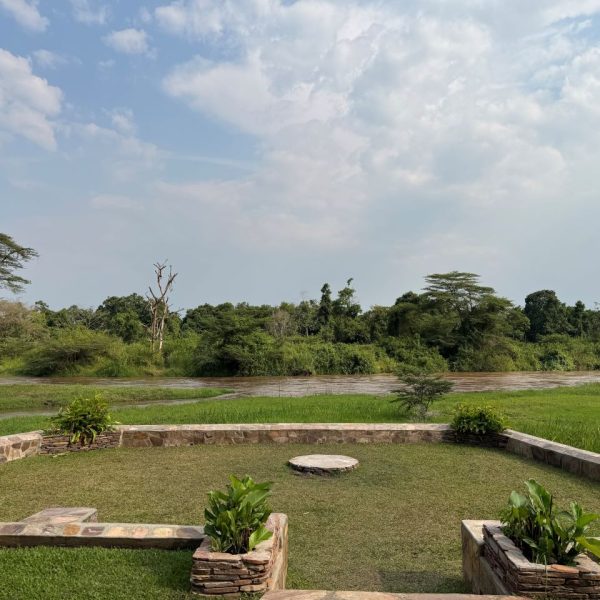 A river surrounded by lush vegetation