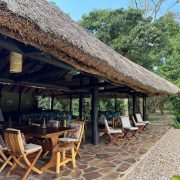 Grass thatched safari camp lounge surrounded by trees