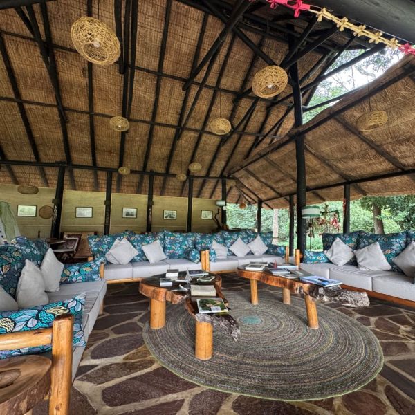 A safari lodge lounge area with seats and a brown earthy ceiling
