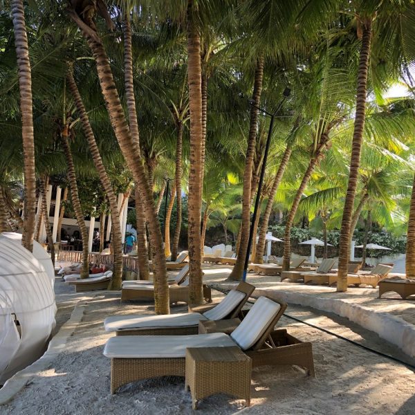 Sun loungers at the beach 