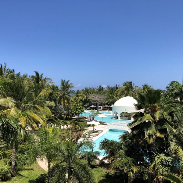 Giant palm trees surrounding a swimming pool 