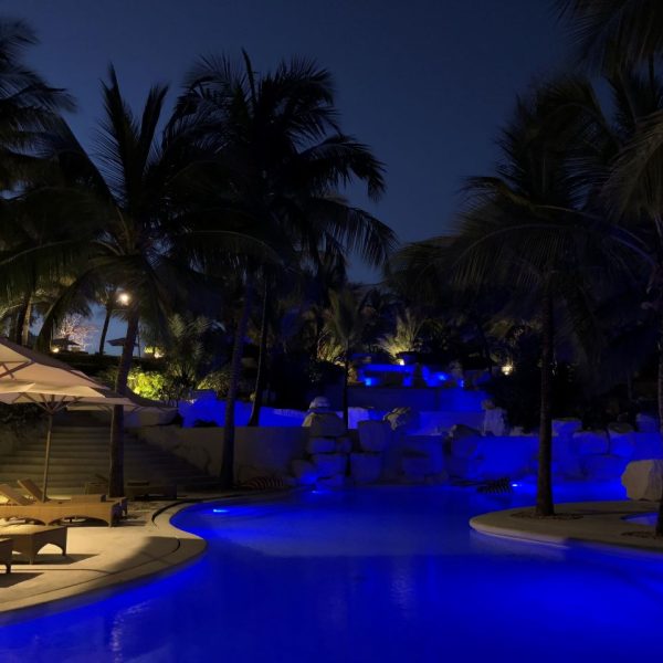 Swimming pool with blue lights and palm trees 