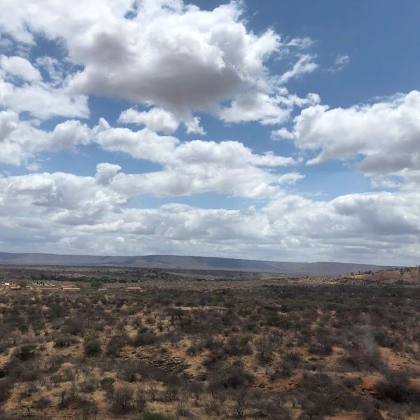 Savanna plains with a blue sky with clouds 