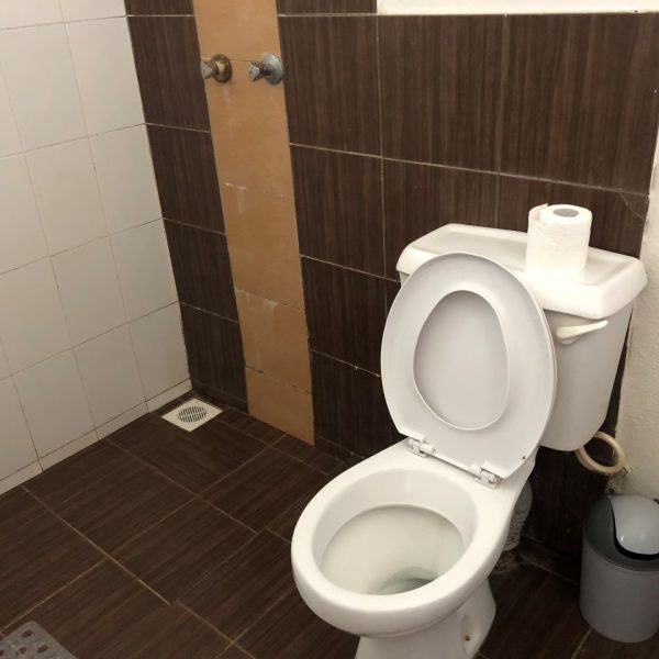 White toilet with brown tiles