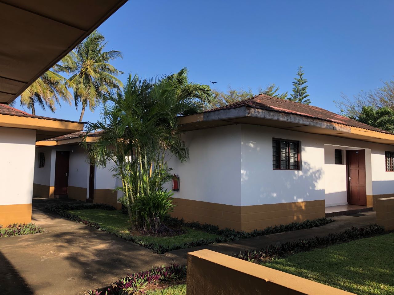 A white and brown building with a tree on the side