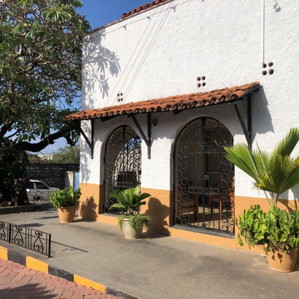 White building surrounded by plants and a beautiful tree
