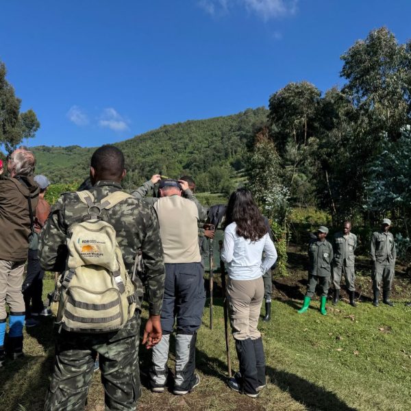 Tourists standing near rangers and porters before a gorilla trek