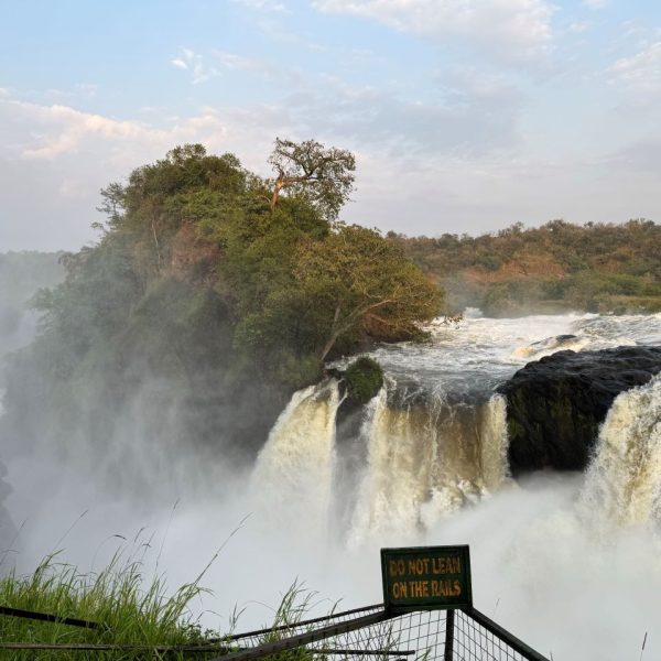 Waterfalls surrounded by lush vegetation