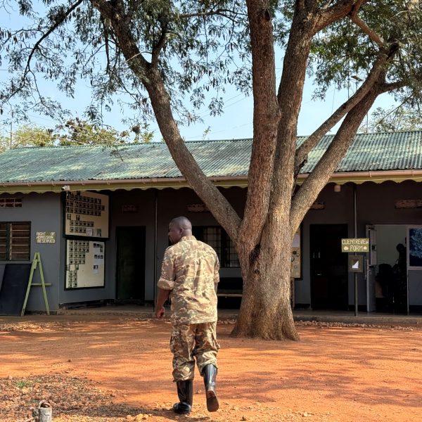 A man in front of a tree