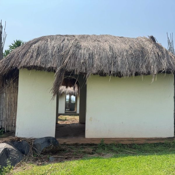 A grass thatched house with no door