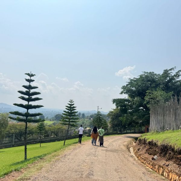 People walking thorough gardens on a sunny day